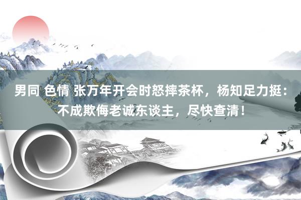 男同 色情 张万年开会时怒摔茶杯，杨知足力挺：不成欺侮老诚东谈主，尽快查清！