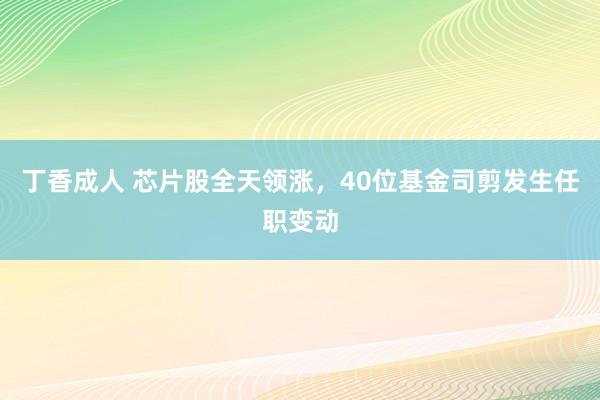 丁香成人 芯片股全天领涨，40位基金司剪发生任职变动