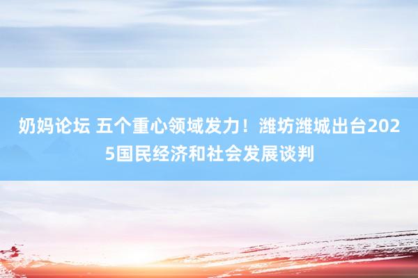 奶妈论坛 五个重心领域发力!潍坊潍城出台2025国民经济和社会发展谈判