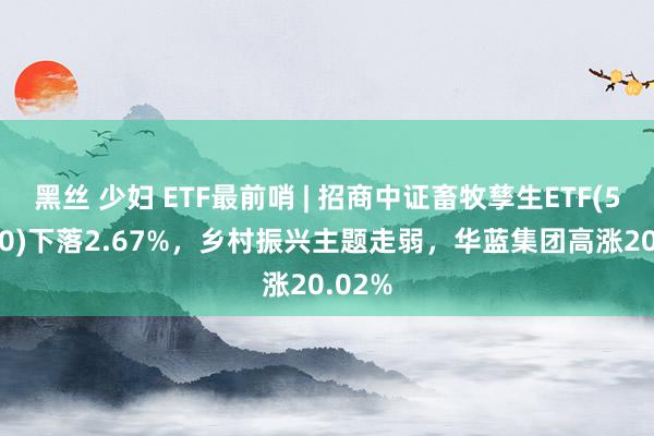 黑丝 少妇 ETF最前哨 | 招商中证畜牧孳生ETF(516670)下落2.67%,乡村振兴主题走弱,华蓝集团高涨20.02%