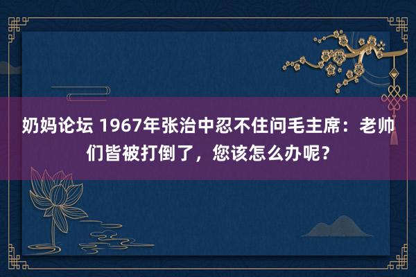 奶妈论坛 1967年张治中忍不住问毛主席：老帅们皆被打倒了，您该怎么办呢？