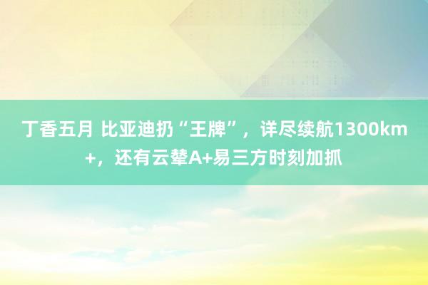 丁香五月 比亚迪扔“王牌”，详尽续航1300km+，还有云辇A+易三方时刻加抓