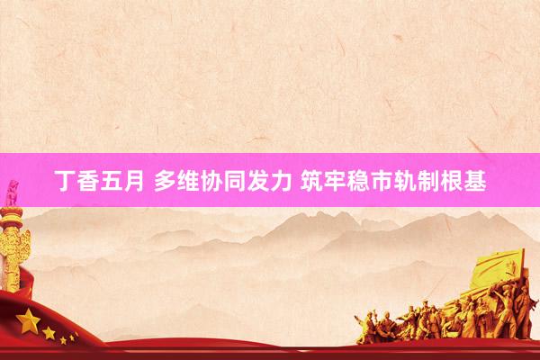 丁香五月 多维协同发力 筑牢稳市轨制根基