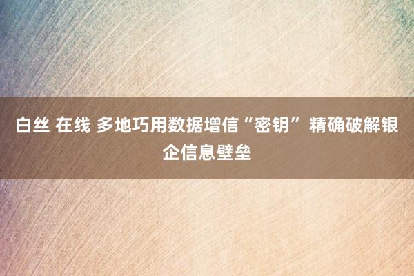 白丝 在线 多地巧用数据增信“密钥” 精确破解银企信息壁垒