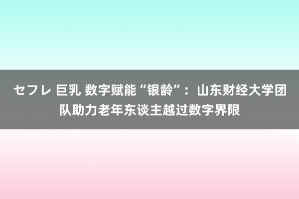 セフレ 巨乳 数字赋能“银龄”：山东财经大学团队助力老年东谈主越过数字界限