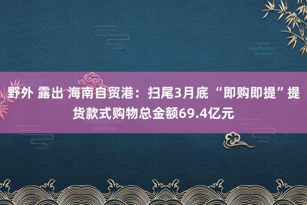 野外 露出 海南自贸港：扫尾3月底 “即购即提”提货款式购物总金额69.4亿元
