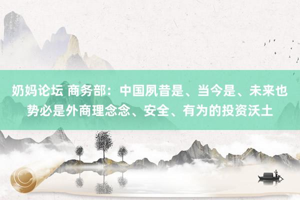 奶妈论坛 商务部：中国夙昔是、当今是、未来也势必是外商理念念、安全、有为的投资沃土