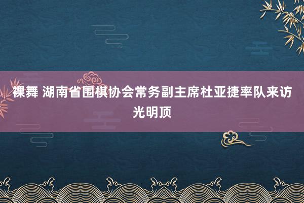 裸舞 湖南省围棋协会常务副主席杜亚捷率队来访光明顶