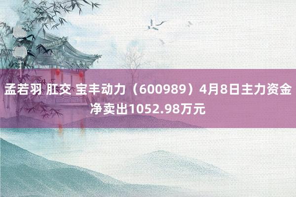 孟若羽 肛交 宝丰动力（600989）4月8日主力资金净卖出1052.98万元