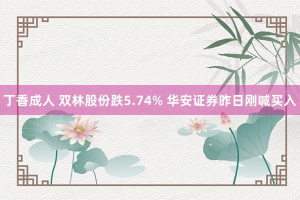 丁香成人 双林股份跌5.74% 华安证券昨日刚喊买入