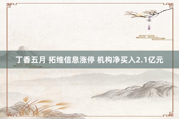 丁香五月 拓维信息涨停 机构净买入2.1亿元