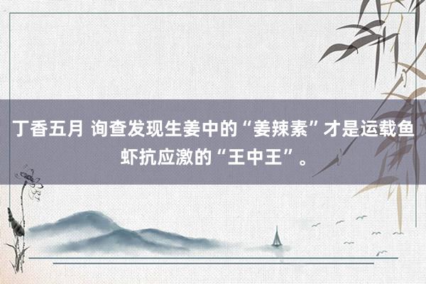 丁香五月 询查发现生姜中的“姜辣素”才是运载鱼虾抗应激的“王中王”。