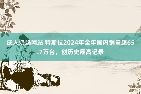 成人奶妈网站 特斯拉2024年全年国内销量超65.7万台，创历史最高记录