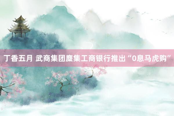 丁香五月 武商集团麇集工商银行推出“0息马虎购”