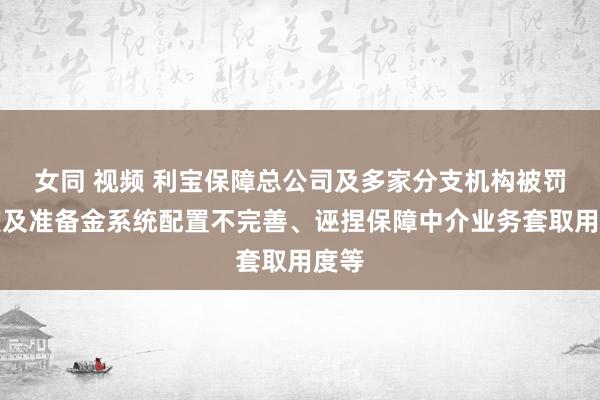 女同 视频 利宝保障总公司及多家分支机构被罚，波及准备金系统配置不完善、诬捏保障中介业务套取用度等