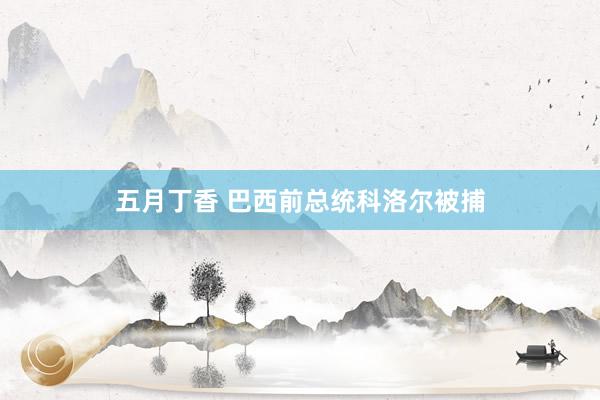五月丁香 巴西前总统科洛尔被捕